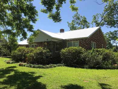 7263 Lodgetown Rd, Pelham, GA 31779 - photo 3