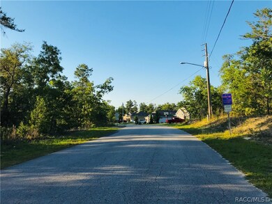 6 Lone Pine St, Sugarmill Woods, FL 34446 - photo 3