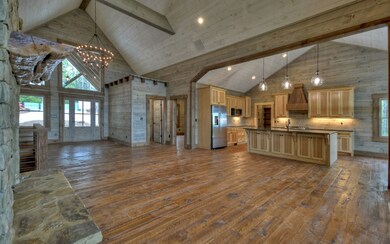 923 Big Timber Rd, Mineral Bluff, GA 30559 - photo 5