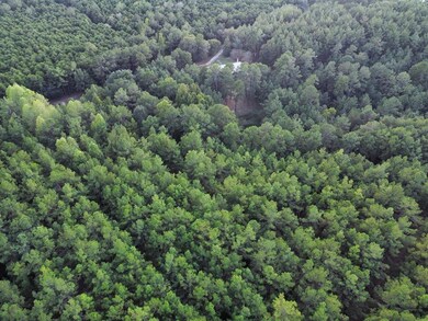 289 Spring Ln, Nacogdoches, TX 75964 - photo 4