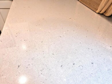 161 Piney Woods Dr, Jim Thorpe, PA 18229 - photo 7