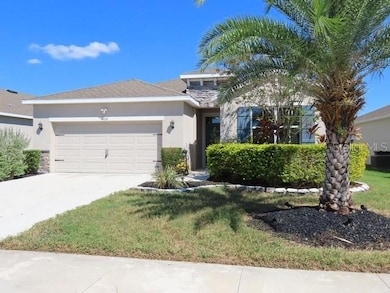 4024 Mossy Limb Ct, Palmetto, FL 34221 - photo 2