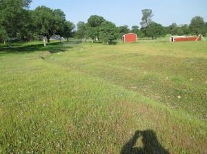 Stone Meadow - 4