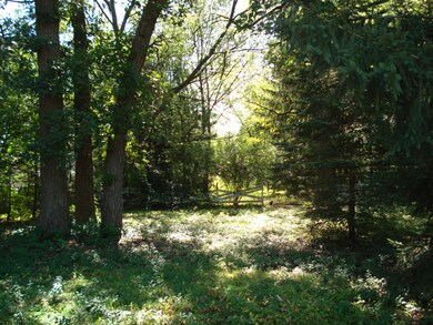 9513-17 Forest Place, Des Plaines, IL 60016 - photo 6