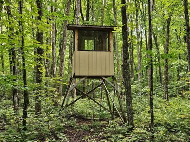 ON Aspen Ln, Phillips, WI 54555 - photo 4