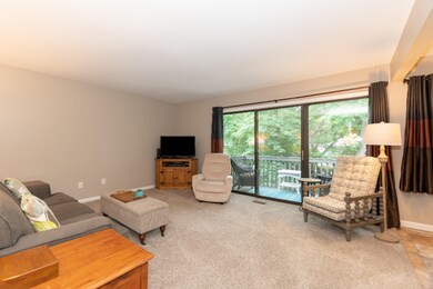 249 Ballantrae Ct unit B, Kalamazoo, MI 49006 - photo 2