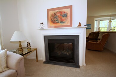 16 Boiling Springs Dr, Barnegat, NJ 08005 - photo 7