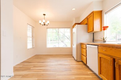 3912 W Rene Dr, Chandler, AZ 85226 - photo 5