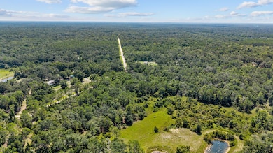 0 NE 354th Ave, Old Town, FL 32680 - photo 6