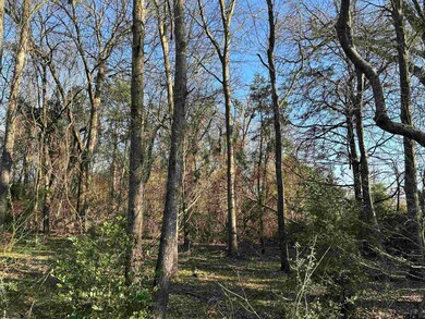 TBD County Road 3324, Pittsburg, TX 75686 - photo 6