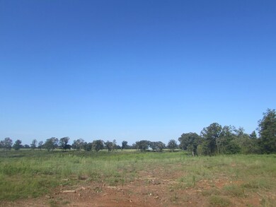 000 Jenkins Rd, Blakely, GA 39823 - photo 6