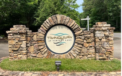 LT209 Harris Ridge Dr, Ellijay, GA 30540 - photo 2