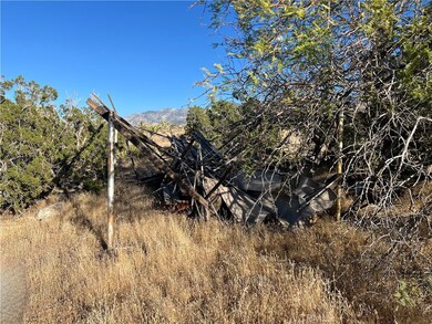 776 Silver Creek Canyon Rd, Lucerne Valley, CA 92356 - photo 4