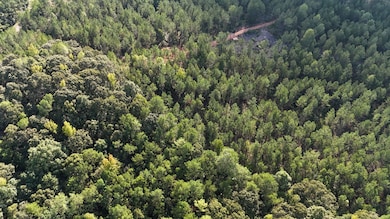 Plesant Rd, Camp Hill, AL 36850 - photo 4