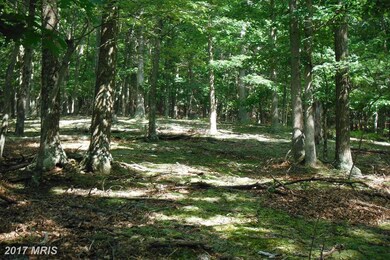 4 Solar Ln, Baker, WV 26801 - photo 4