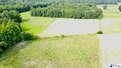 1914 N Old Georgetown Rd, Scranton, SC 29591 - photo 2