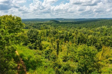 0 Lot 65 Crooked Stick Trail unit 968692, Broken Bow, OK 74728 - photo 5