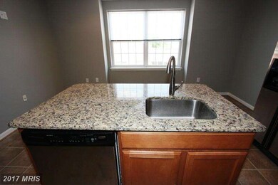 9500 Side Brook Rd unit 407, Owings Mills, MD 21117 - photo 5