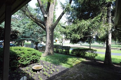 Front yard