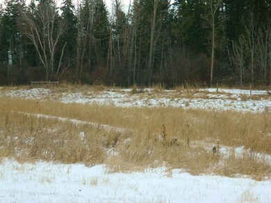 105 Selders Ln, Kalispell, MT 59901 - photo 5