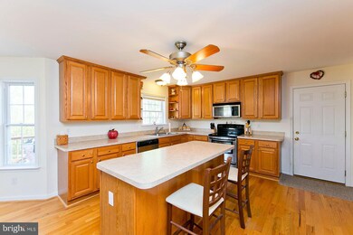 561 Washout Ln, Winchester, VA 22603 - photo 5