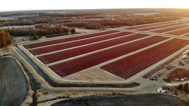 N7050 Highway 12 and 16, Camp Douglas, WI 54618 - photo 3