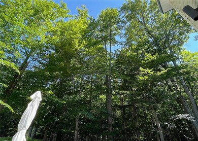 1155 Country Place Dr, Tobyhanna, PA 18466 - photo 6