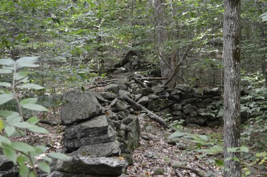 West Hill Rd Middlefield-Becket Line 005