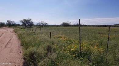 Newland & S. Palm Rd