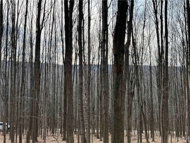 8477 Hudson Rd, Wayland, NY 14572 - photo 4