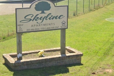 Skyline Apartments, Hackleburg, AL 35564 - photo 7