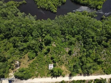 tbd Cypress Ct, Wewahitchka, FL 32465 - photo 3