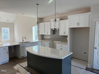 186 Surles Landing Way, Benson, NC 27504 - photo 3