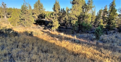 2330 SE Texas Cir, Prineville, OR 97754 - photo 3