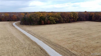 Tract 11 Polston Ln, Hickory Grove Township, MO 63357 - photo 2