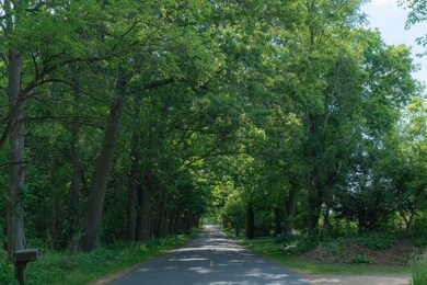 Eagle's Nest_Street view 1