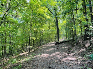 2362 N State Highway 265 unit 20 Acres M/L, Branson, MO 65616 - photo 3