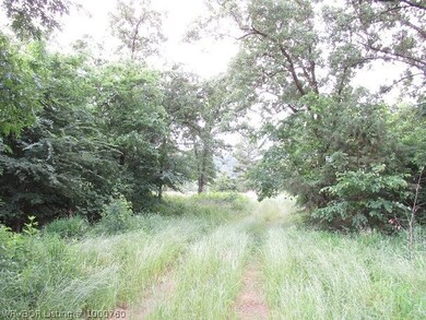 Lots of tall grass.