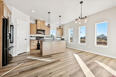 2223 Golf Course Ln, Cortez, CO 81321 - photo 5