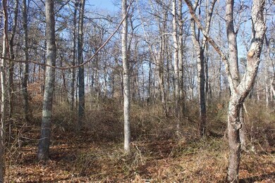 135 Wheeler Rd, Mashpee, MA 02649 - photo 4