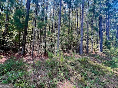 1150 Denton Rd, Douglasville, GA 30134 - photo 2