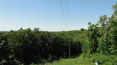 0 County Road 8010 unit 20036073, Rolla, MO 65401 - photo 3