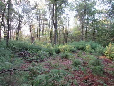 7 Stadler Heights, Winsted, CT 06098 - photo 4