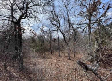 0 Lot 14 Toad Rd unit 1192354, Harrah, OK 73045 - photo 5