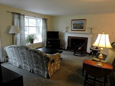 Living Room. Cozy living room with a fireplace!!