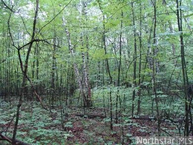 0 Spotted Fawn Rd unit 4591528, Danbury, WI 54830 - photo 5