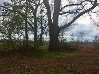 360 Valley Rd, Byron, GA 31008 - photo 6