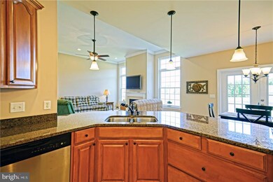 15204 Autumn Oaks Dr, Milton, DE 19968 - photo 7