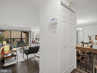 11248 Chestnut Grove Square unit 249, Reston, VA 20190 - photo 4