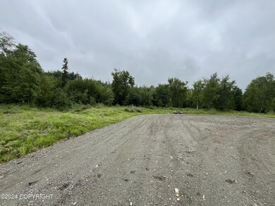 IMG_8591